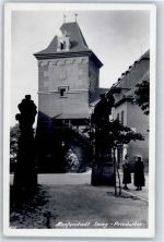 Zatec Saaz