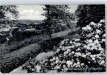 45525 W4320 Hattingen , Ruhr - Blick vom Stadtwald AKU1
