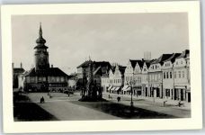 Zatec Saaz