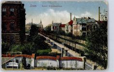 Zatec Saaz