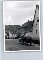 Kutsche, Foto Landwirtschaft