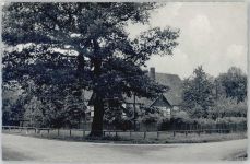 31855 W3258 Selxen - Gruß aus Selxen
