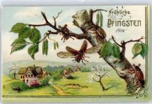 Pfingsten Maikäfer 1906 Prägedruck