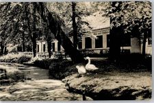 09648 O9250 Mittweida - Gasthaus Cafe am Schwanenteich