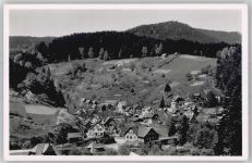 72270 W7292 Schönmünzach