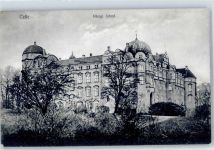 29221 W3100 Celle - Königliches Schloss AKU1