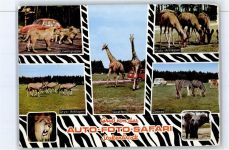 33758 W4815 Stukenbrock - Senne Grosswild Safari