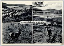 37586 W3354 Lauenberg - Schwimmbad Hirsch Reh