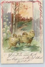 Huhn 1903 Lithographie