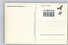 08309 O9401 Wildenthal b Aue, Sachs