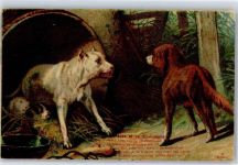 Welpe Hund Künstlerkarte