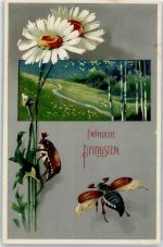 Blumen Pfingsten Maikäfer Prägedruck