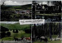 63863 W8751 Eschau , Unterfr - Sommerau