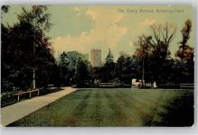 Burton on Trent - The Cherry Orchard