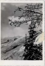 W8000 München WK II Winterlandschaft WHW Sonderstempel