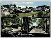 95197 W8685 Schauenstein