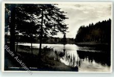 88161 W8998 Lindenberg i. Allgäu - Waldsee
