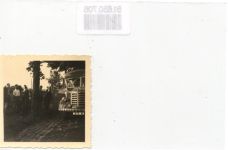 Oldtimer Omnibus FOTO KEINE AK