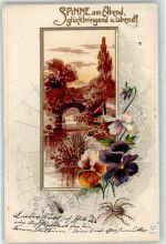 Blumen Spinne 1901 Prägedruck