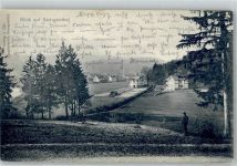 99887 O5805 Georgenthal , Thüringerw - 1904 Blick auf die Stadt