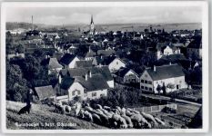 86470 W8907 Thannhausen , Schwab - Schäfer mit Herde