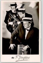 3 Pinguins Gitarre Akkordeon Musikgruppe