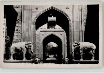Elefant