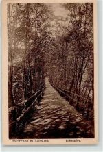 24960 W2392 Glücksburg Ostsee - Birkenweg