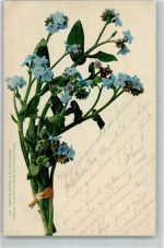 Blume