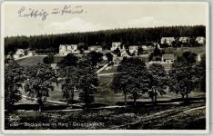 38640 W3380 Hahnenklee-Bockswiese , Oberharz - Allee