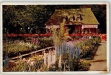 01067 O8000 Dresden - Irisgarten mit Cafe Eden