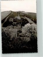 37444 W3424 St. Andreasberg FOTO KEINE AK Skilifthang im Sommer Foto Original aus Archiv eines Ansichtskartenverlages Ort handschriftlich