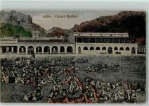 Aden - Camel Markt