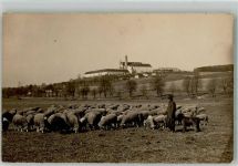 73441 W7085 Neresheim 1929 Foto AK Kirche Abtei