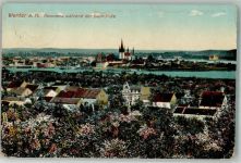 14542 O1501 Werder Havel 1919 Foto AK Panorama während der Baumblüte