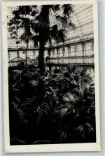 1130 Wien 13. Bezirk, Hietzing - Palmenhaus Schloss Schönbrunn