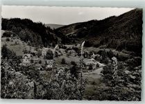 72270 W7292 Schönmünzach Foto AK