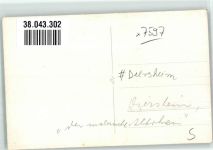 77866 W7597 Diersheim Privatfoto AK Der malerische Altrhein Ort handschriftlich