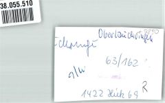 79787 W7898 Oberlauchringen , Kr Waldshut FOTO KEINE AK Ort handschriftlich Foto Original aus Archiv eines Ansichtskartenverlages