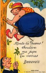 60000 Beauvais - Beauvais (Frankreich) Leporello II (Stauchung)