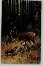 Hirsch Wald sign. Jagdhund 1904 Künstlerkarte