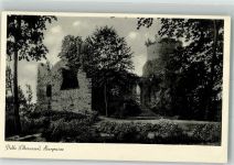 37647 W3453 Polle , Weser Foto AK Burgruine Verlag Thoericht 19578