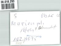 83080 W8203 Oberaudorf FOTO KEINE AK Marienplatz Ort handschriftlich Foto Original aus Archiv eines Ansichtskartenverlages