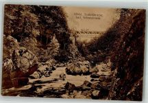 79837 W7822 St. Blasien - Teufelsbrücke Albtal