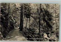 38871 O3705 Ilsenburg 1909 - Bremer Weg