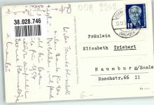 09669 O9262 Frankenberg , Sachs 1953 Foto AK Schilfteich