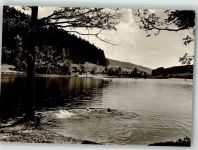 88316 W7972 Großholzleute Foto AK Schwimmbad Waldseee Hengelesweiher