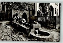 31606 W3079 Schwalenberg Foto AK Volkwinbrunnen