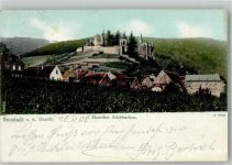 67433 W6730 Neustadt an der Weinstraße 1906 - Haardter Schlösschen