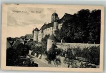 89407 W8880 Dillingen a d Donau 1914 - Kgl. Schloss